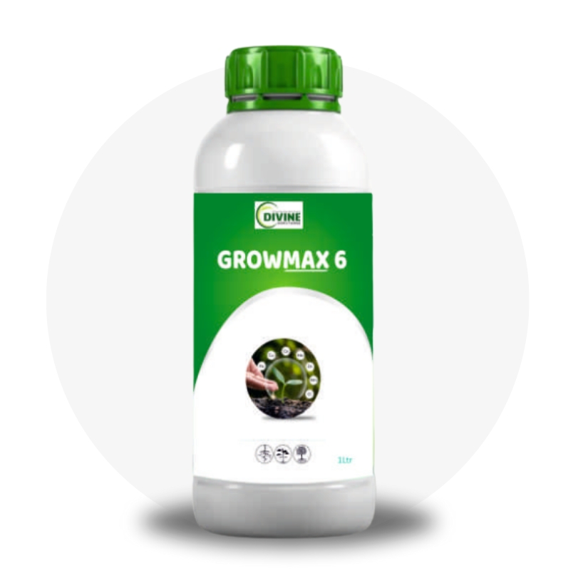 GrowMax AMINO